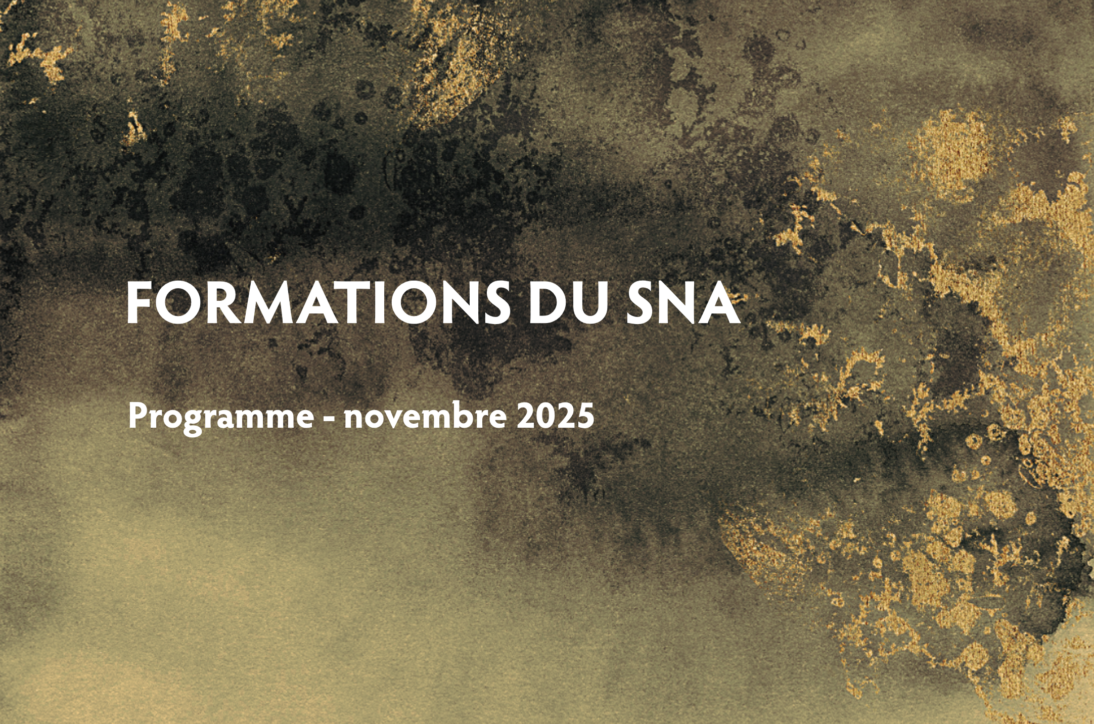 Programme des formations - novembre 2025