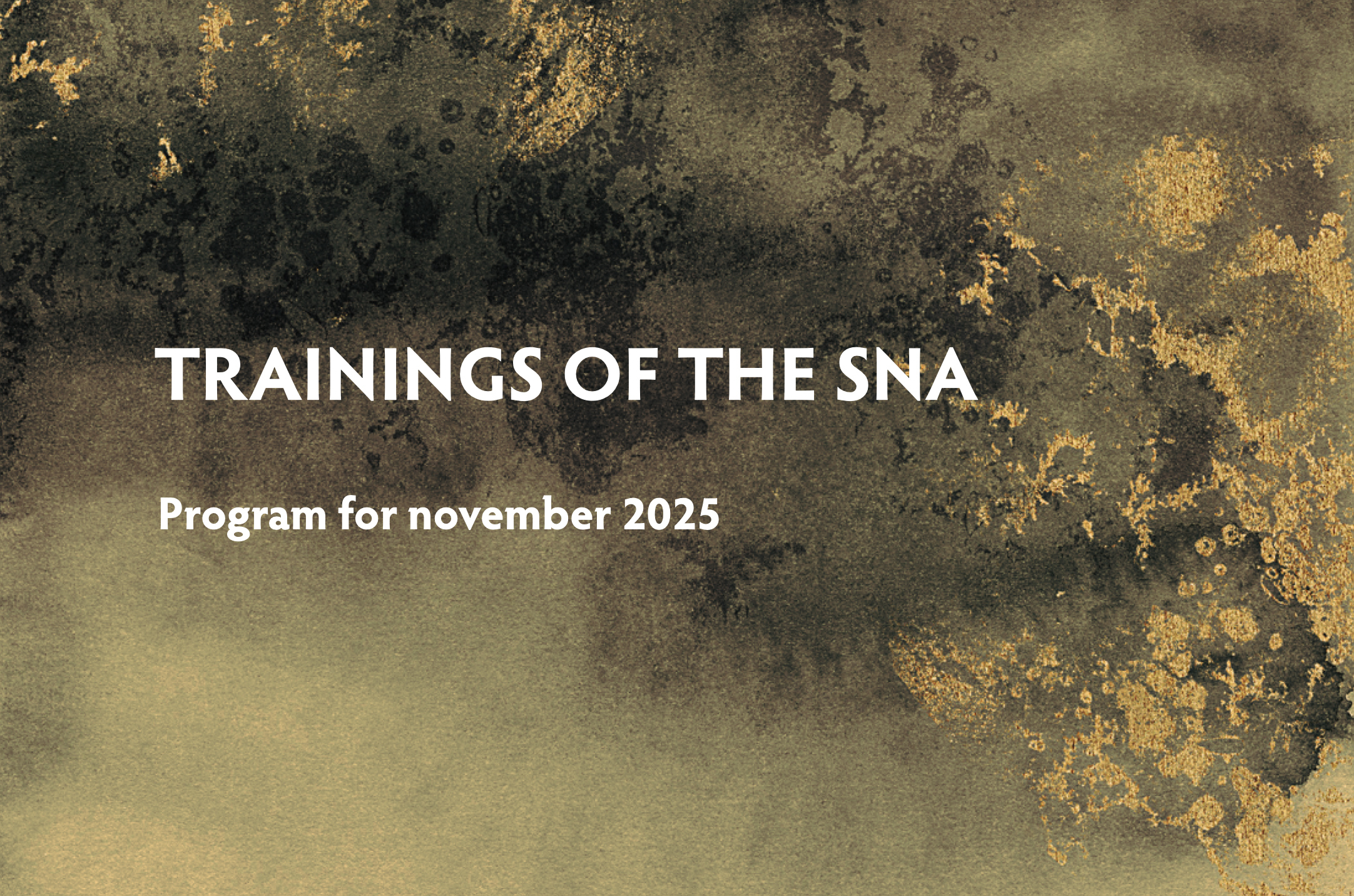 Program of the trainings - november 2025