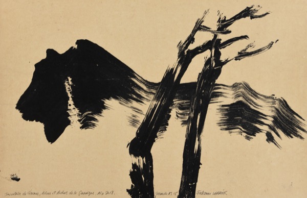 Inventaire de formes, arbres rochers de la Garrigue