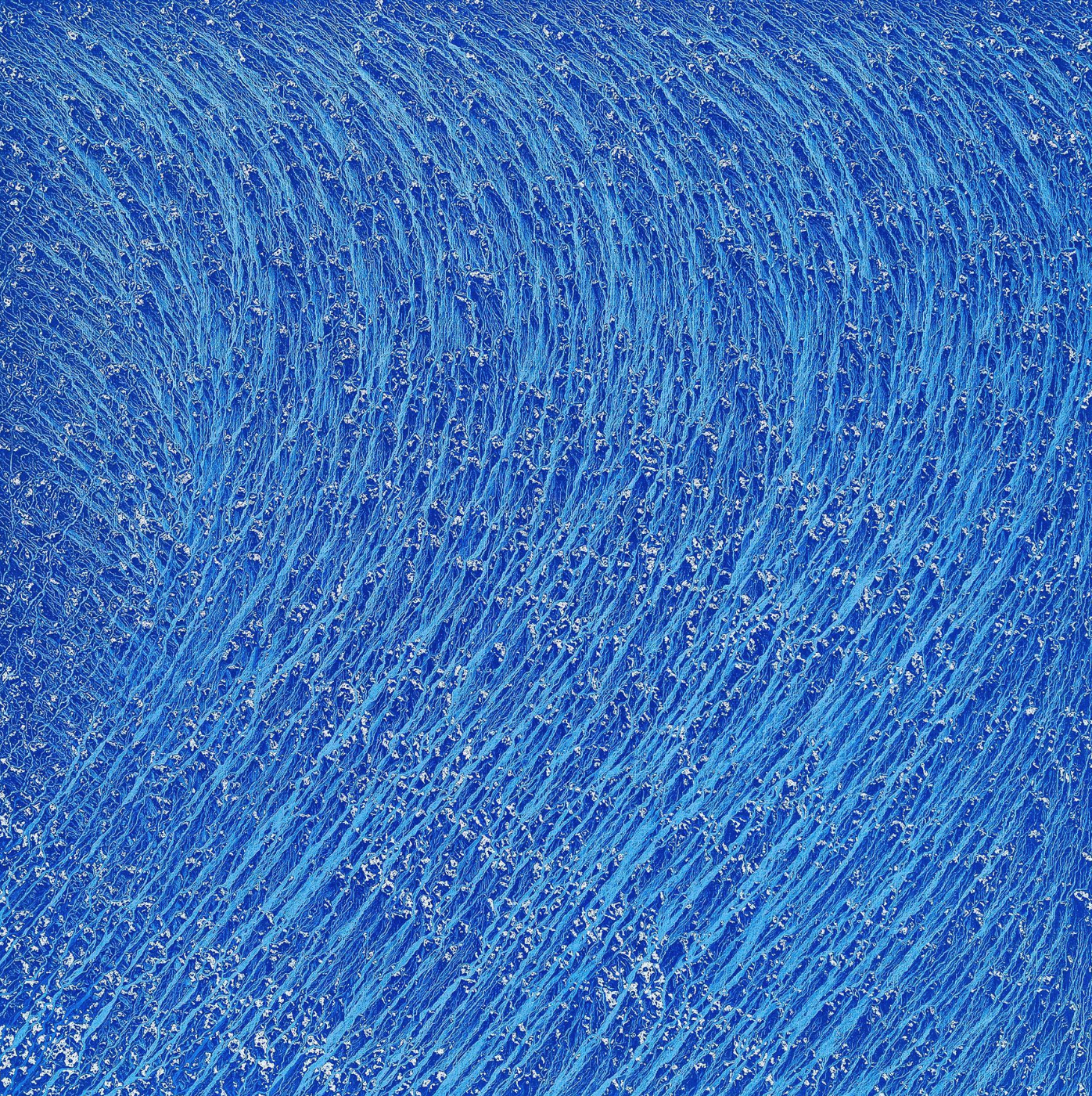 History of the Blue IV