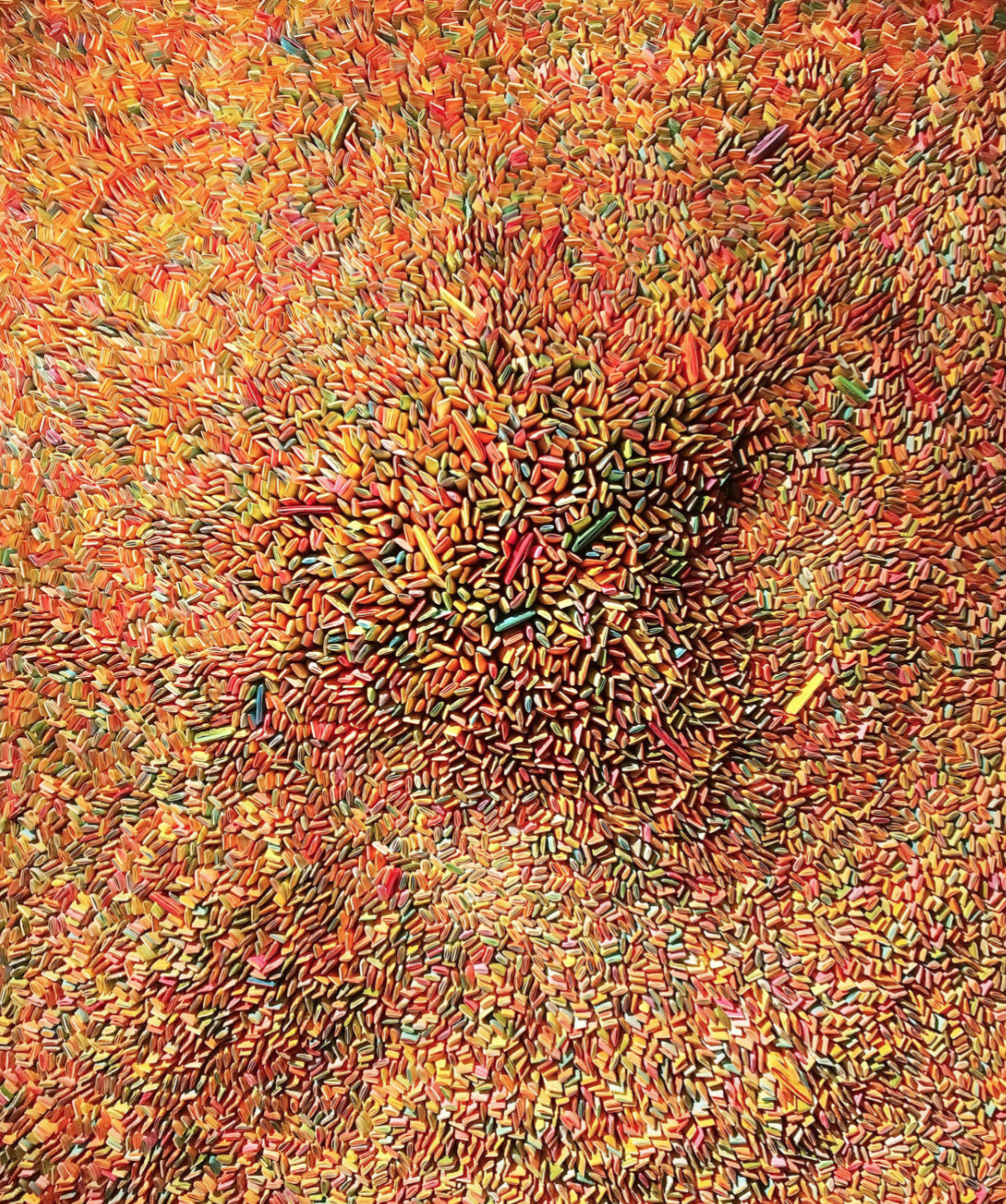 Seed Universe 11