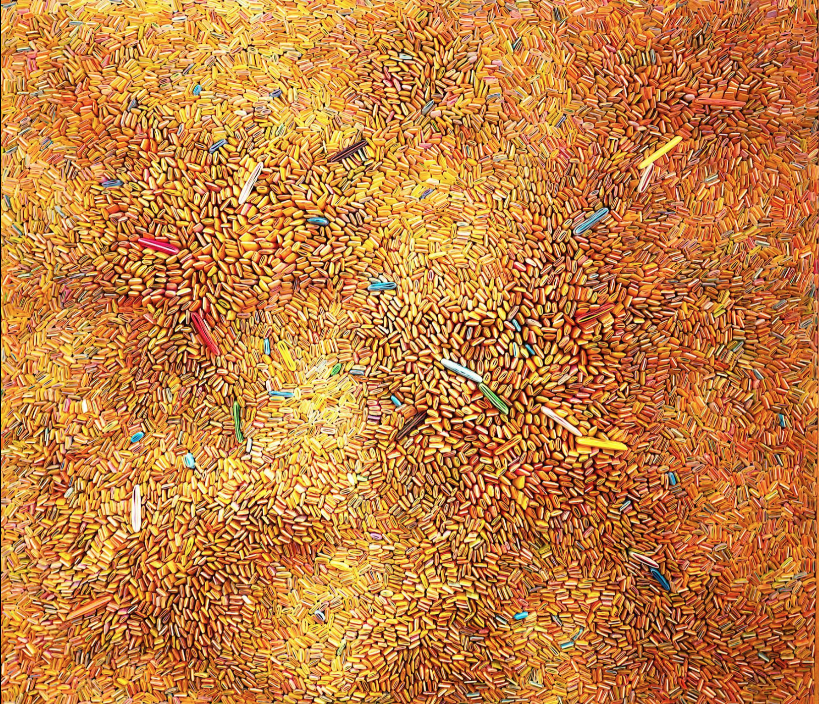 Seed Universe 19