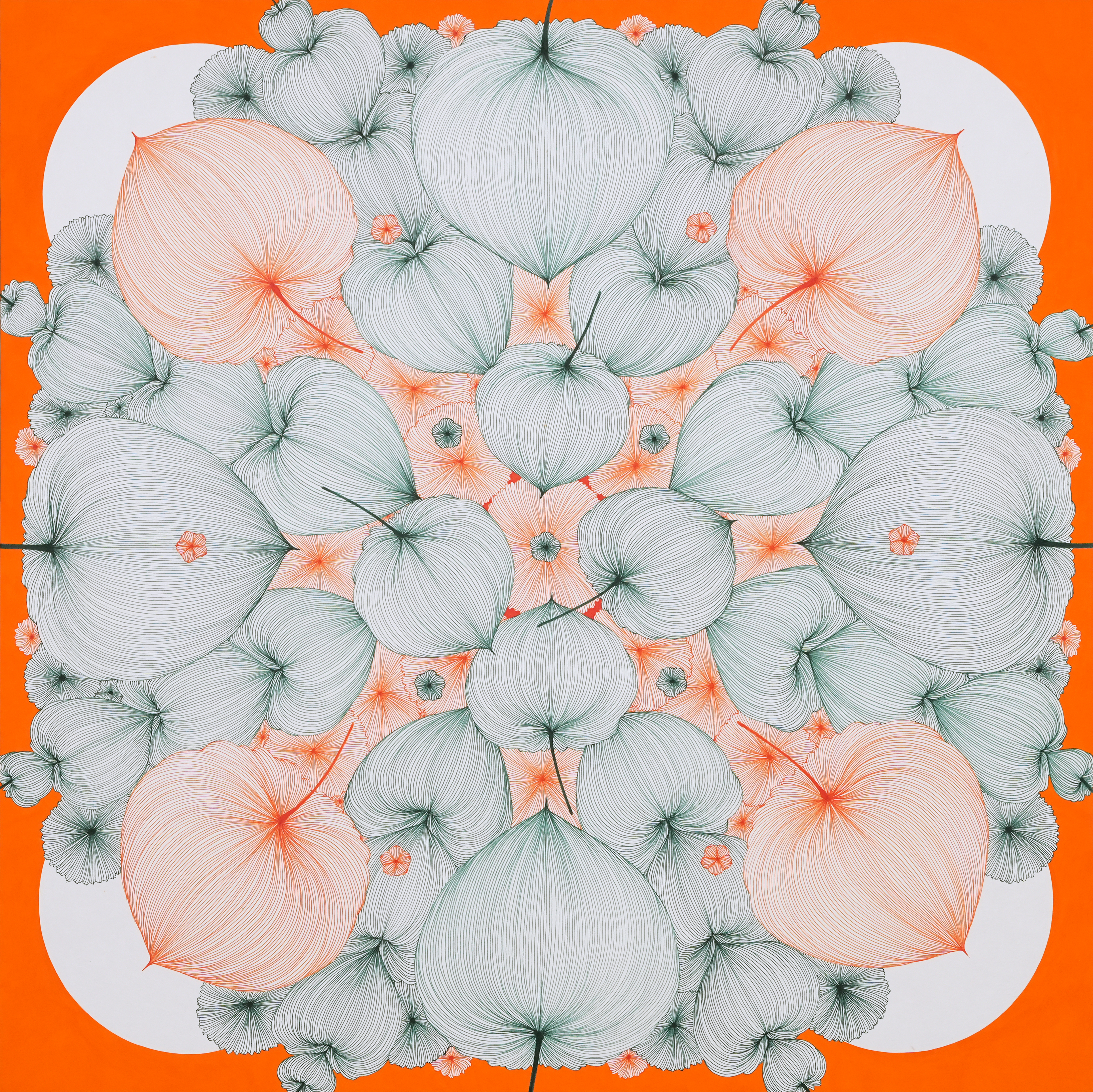 Good Luck in Ground Cherry 24-68