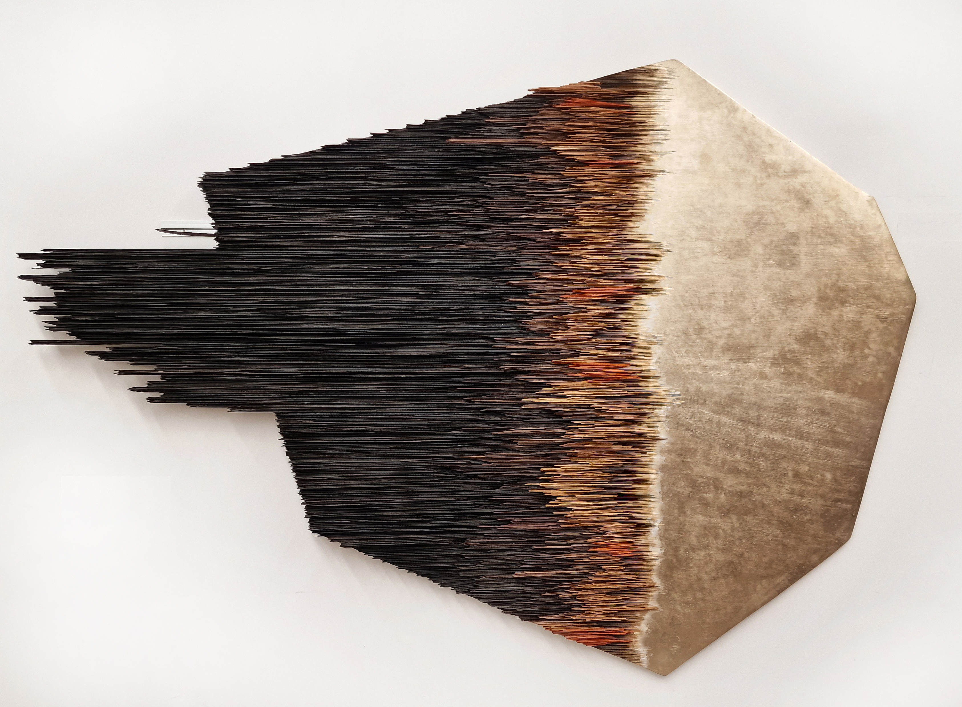 La Terre et le Cosmos T10