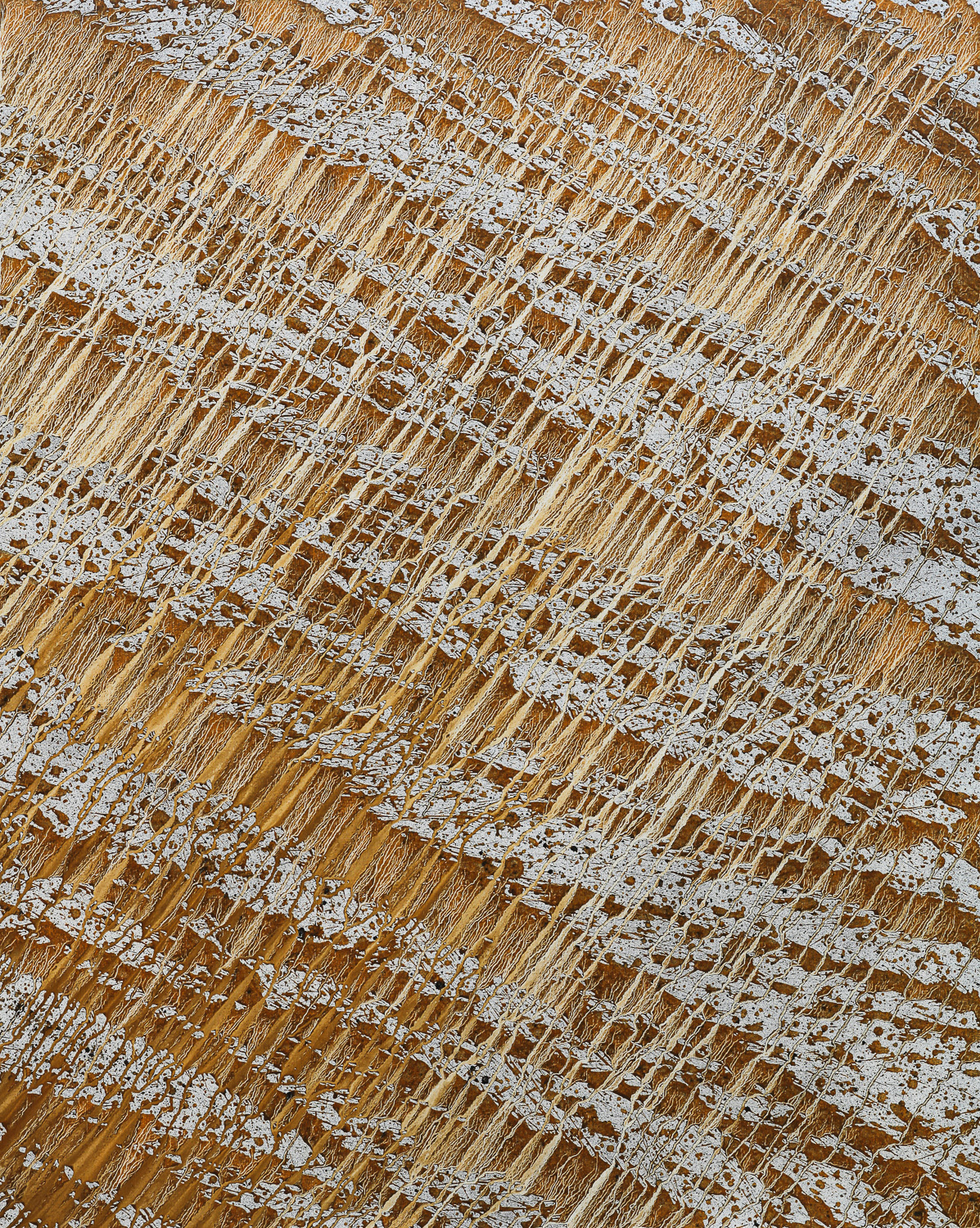 Terre anonyme 230120