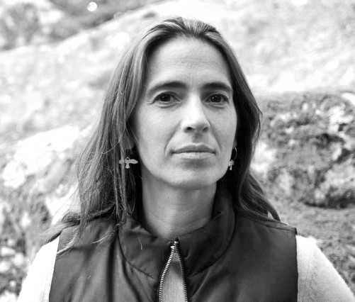 GALERIE MOTTE MASSELINK