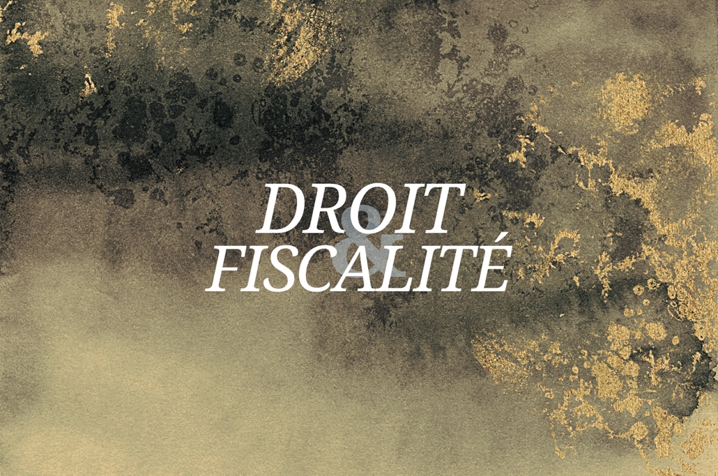 TABLE RONDE - NOUVEAU RÉGLEMENT SUR IMPORTATION DES BIENS CULTURELS EN EUROPE 29/02/2024