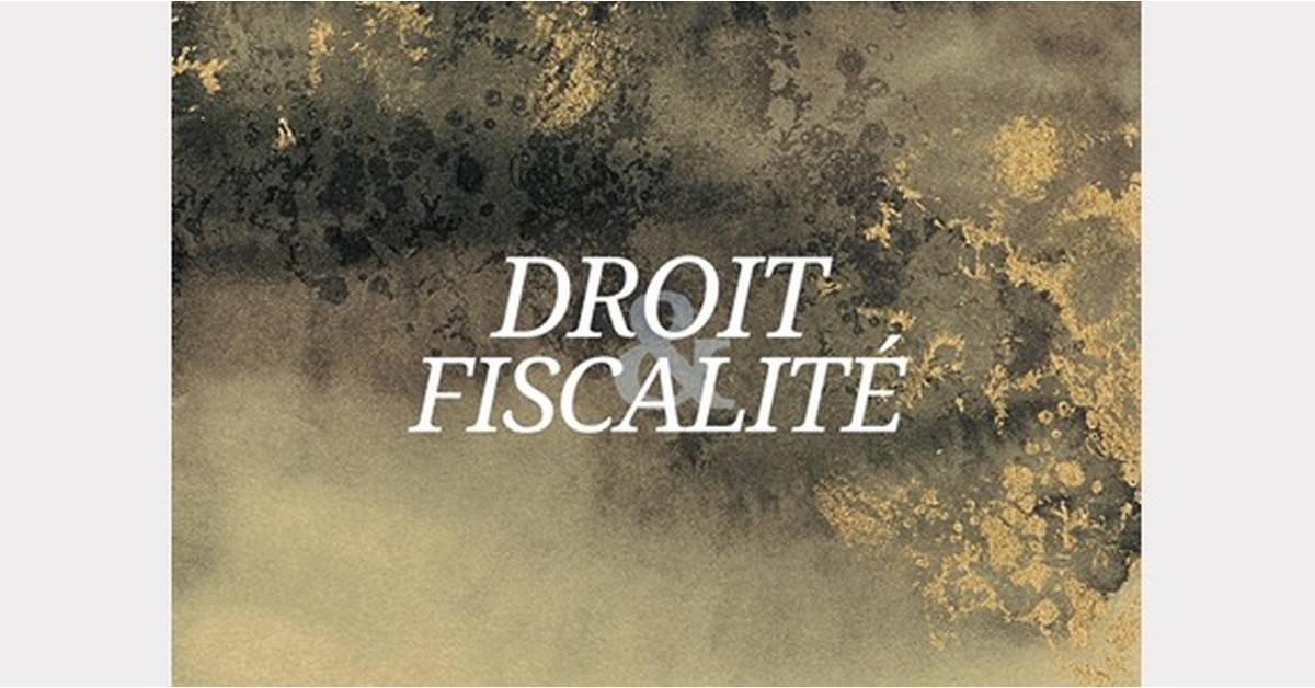 Douanes USA : Protéger la libre circulation des biens culturels - Actualités Juridiques, DROIT & FISCALITE, General publications (N), Droit & Fiscalité (N), Actualités SNA, SNA News (N) - Actualités juridiques et fiscales du marché de l’art : fiscalité, droit douanier, contrats