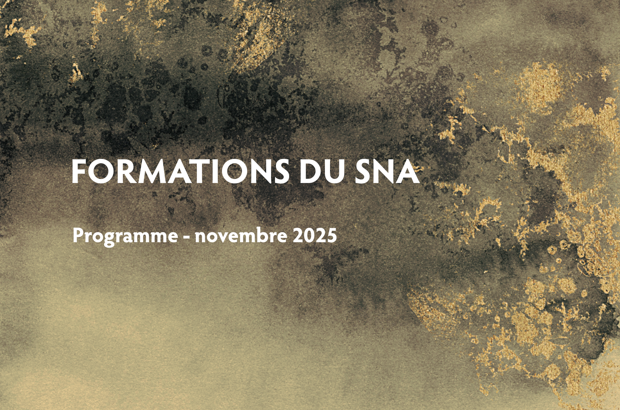 Programme des formations - novembre 2025