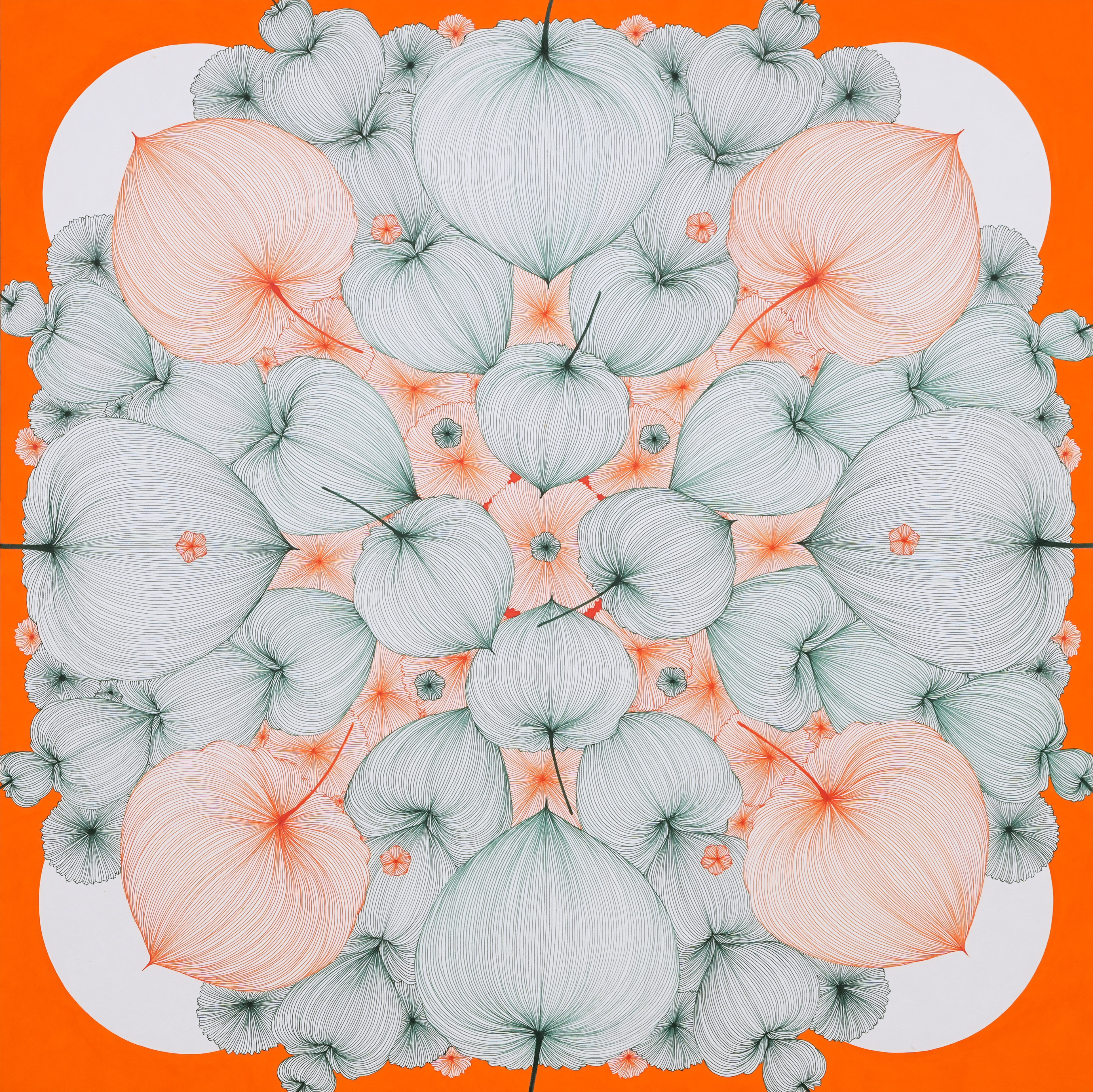 Good Luck in Ground Cherry 24-68