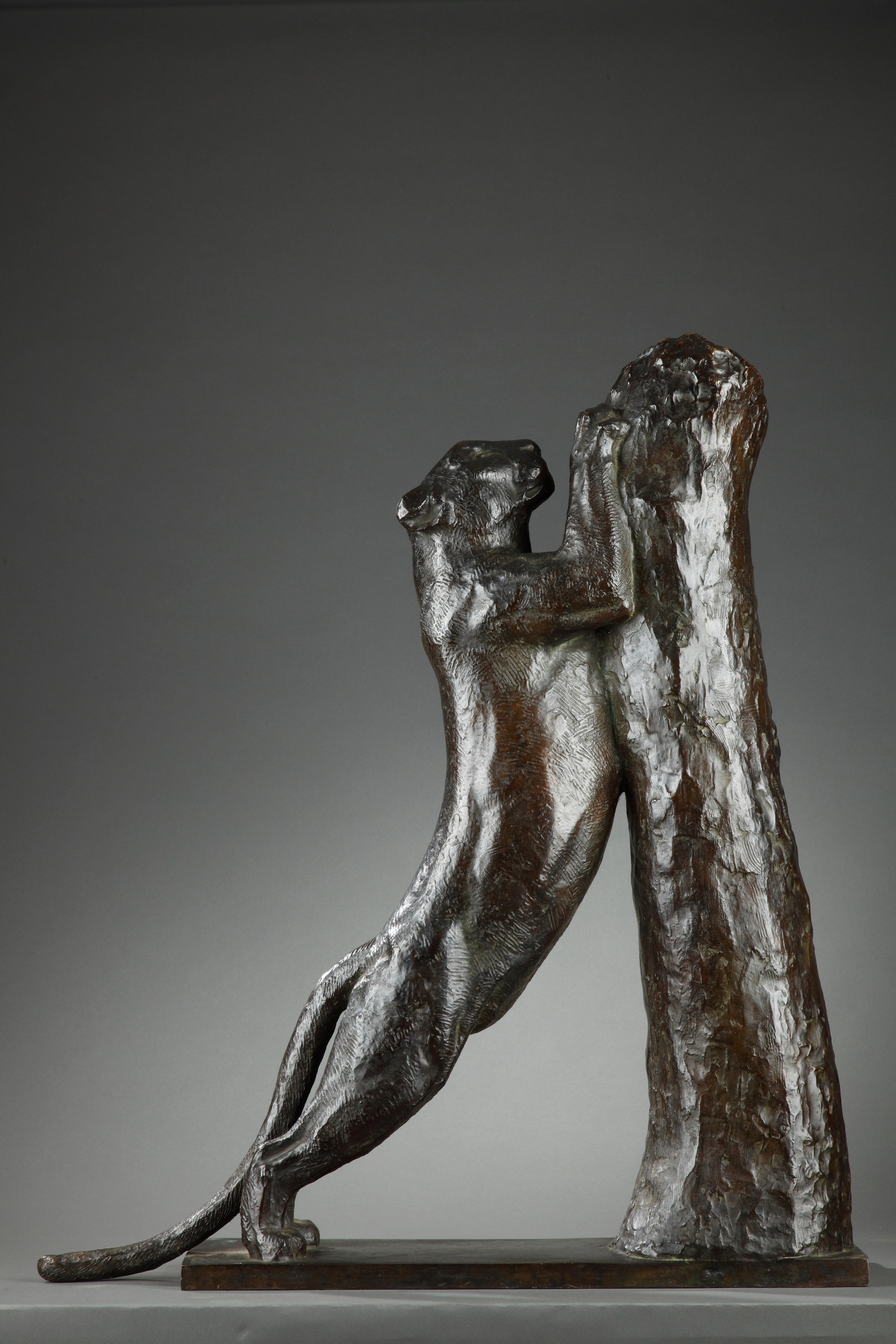 Panthère aiguisant ses griffes